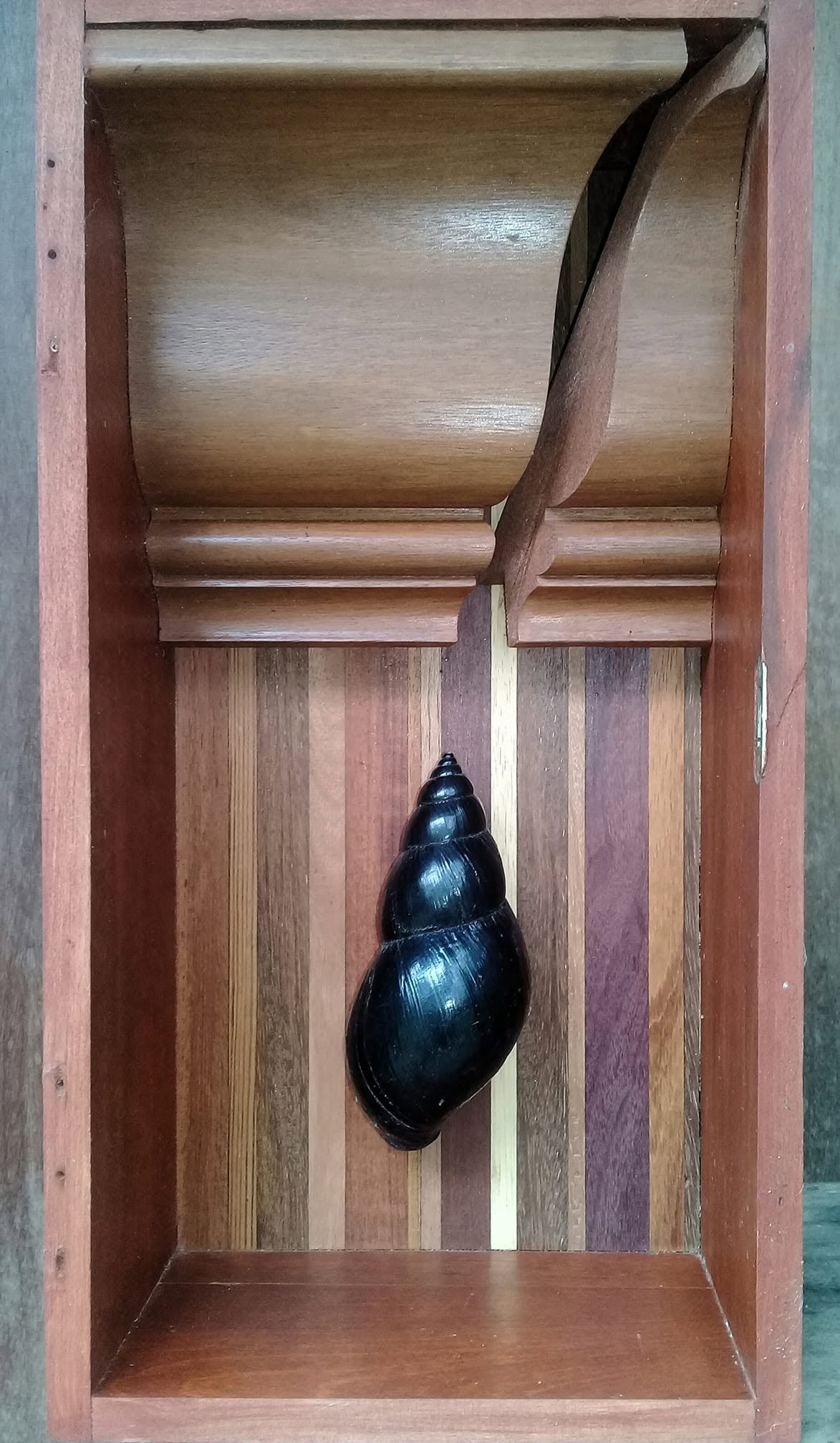 A obra Caixa 09 mostra uma concha escura fixada sobre tiras verticais de madeira sob molduras esculpidas.